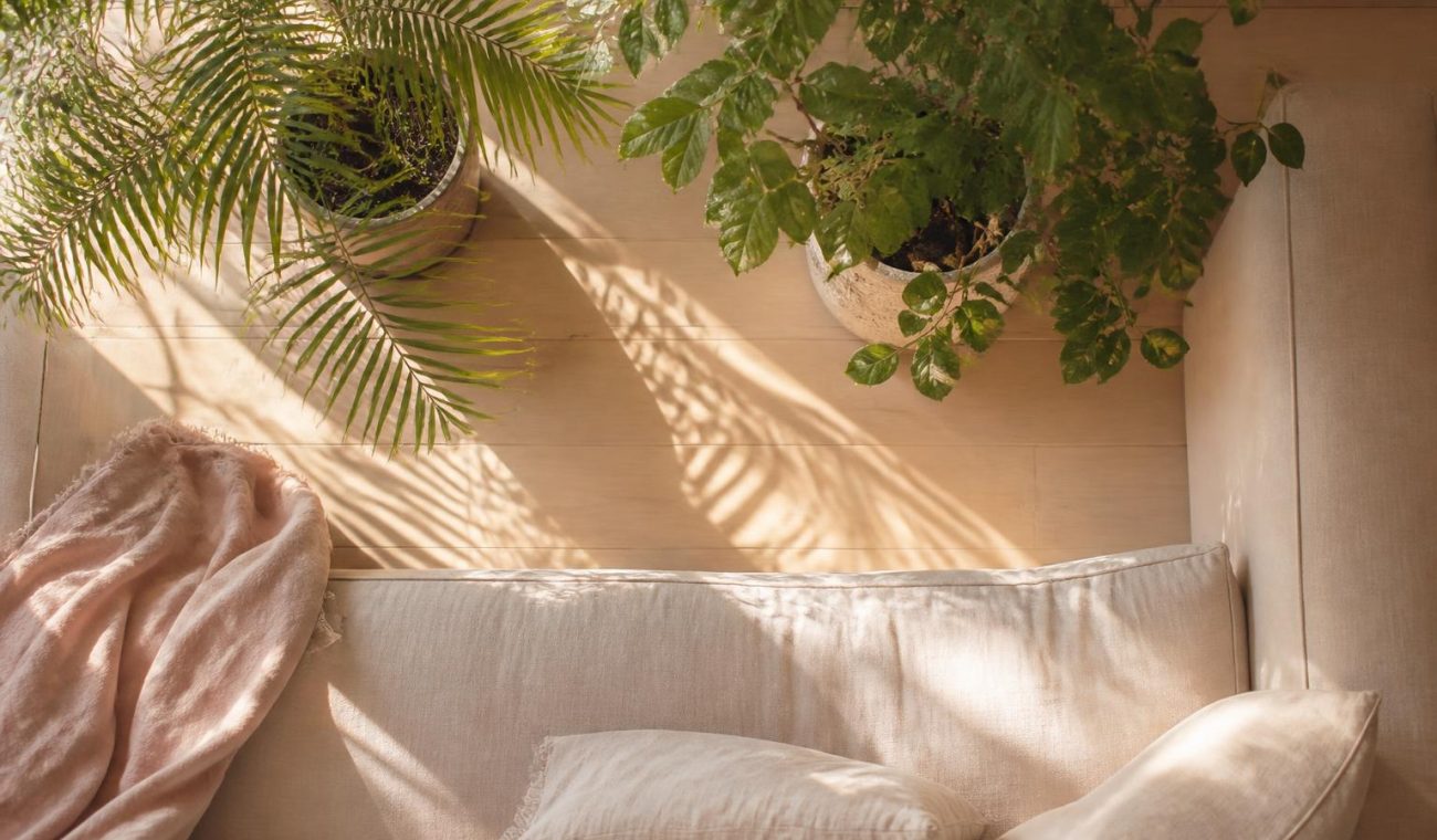 Smart Gardening and Home Improvement: Practical Steps to Elevate Interior and Exterior Spaces