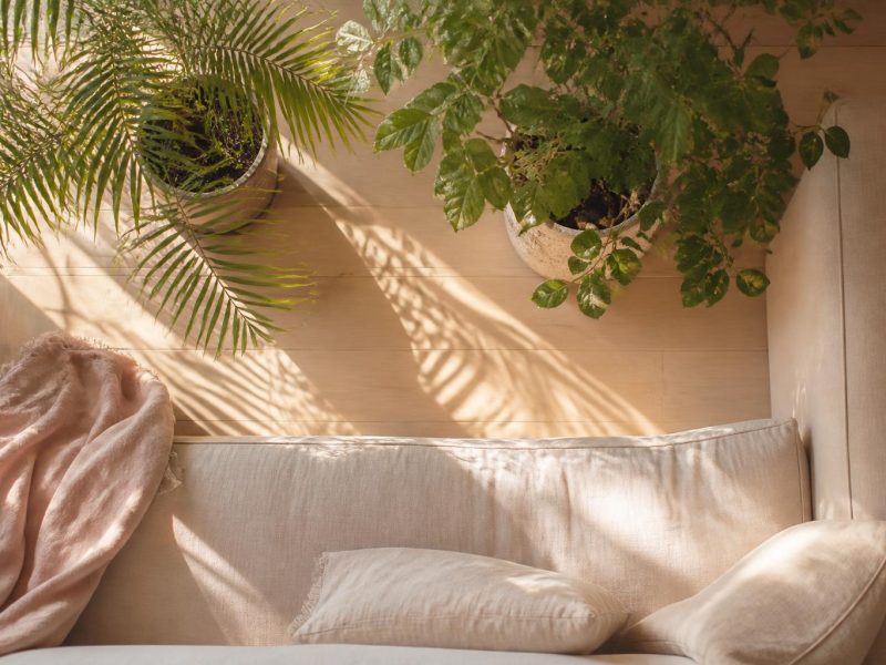 Smart Gardening and Home Improvement: Practical Steps to Elevate Interior and Exterior Spaces